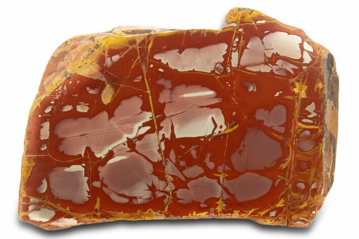 Polished Noreena Jasper Section - Australia #317896